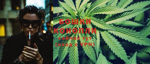 шишки Лиски