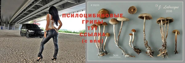шишки Лиски