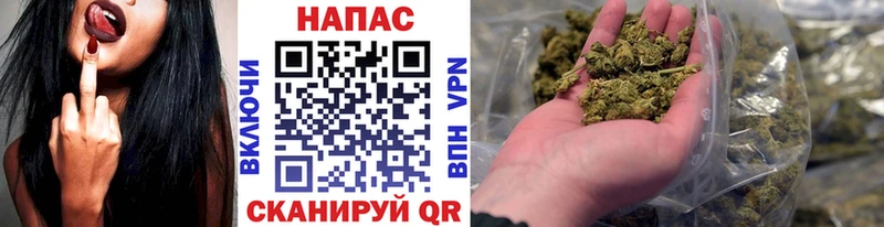 Купить где  Буинск  МАРИХУАНА SATIVA & INDICA 